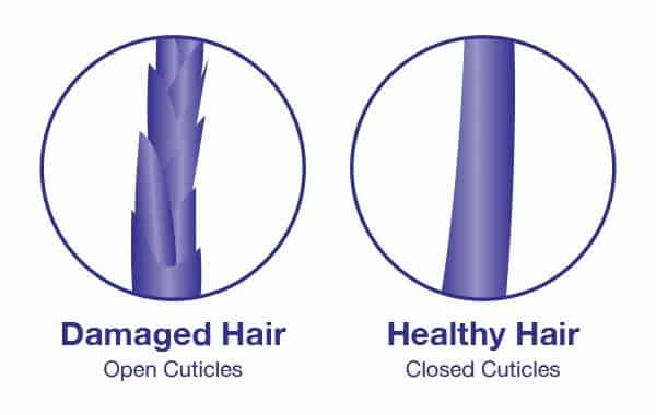 Damaged vs Healthy Hair
