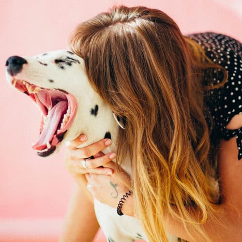 lady with long balayage hair in black and white polka dot dress hugging a dalmatian dog making a big yawn