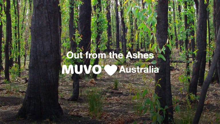 Uit de Ashes...