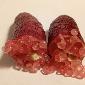 Finger Lime