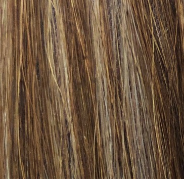 Cool Brassy Highlights (Before)