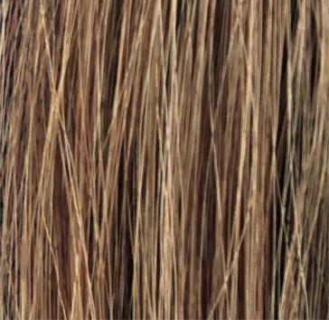 Remove Copper Tones (After)