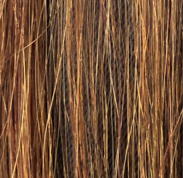 Remove Copper Tones (Before)