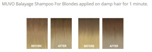 Balayage Blonde swatches