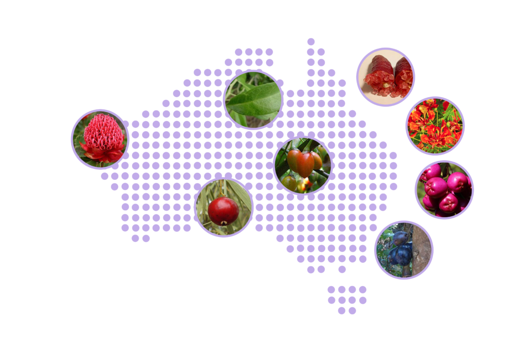 Proudly Australian Made