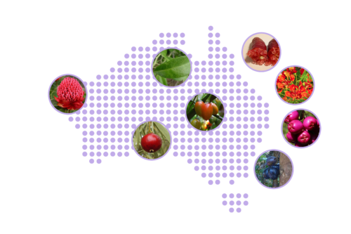 Australian map_transparent background